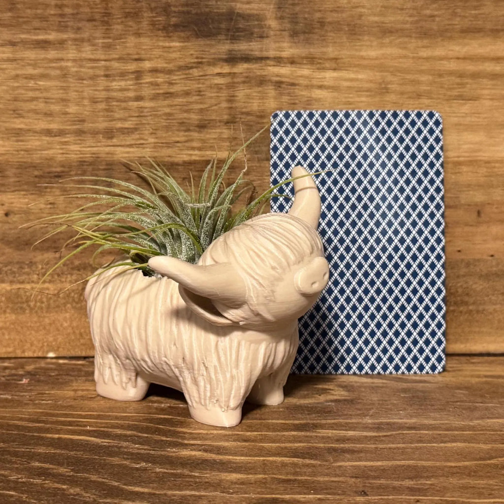 Highland Cow Air Plant Holder
