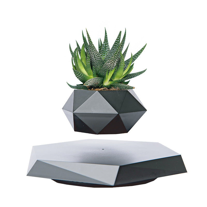 LeviFlora – The Magical Floating Plant Pot for Home & Office