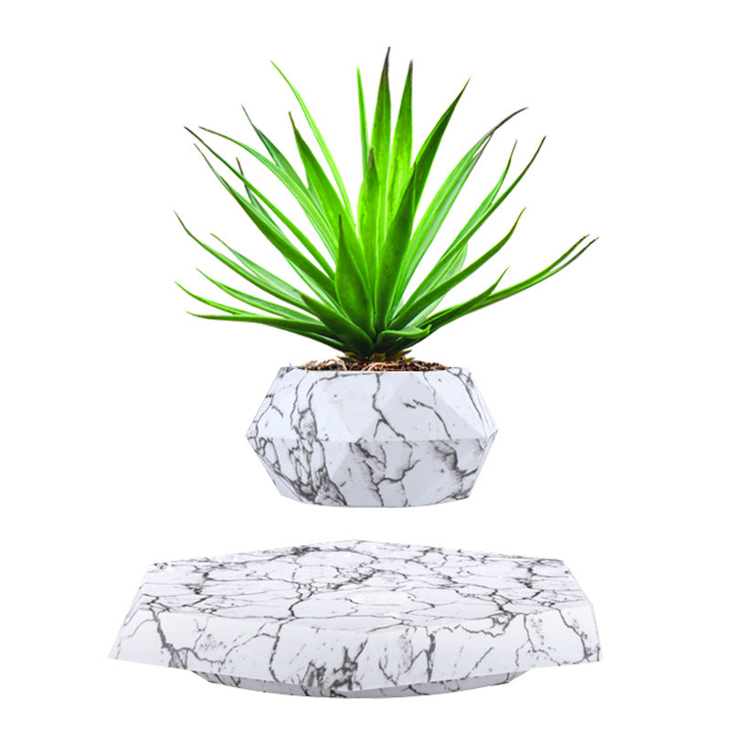 LeviFlora – The Magical Floating Plant Pot for Home & Office