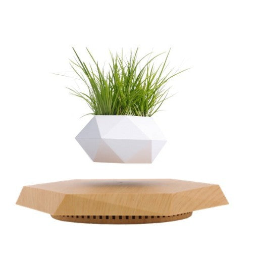 LeviFlora – The Magical Floating Plant Pot for Home & Office