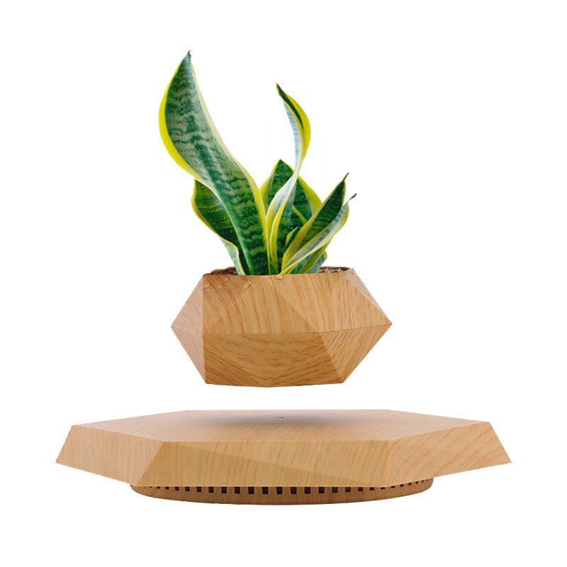 LeviFlora – The Magical Floating Plant Pot for Home & Office