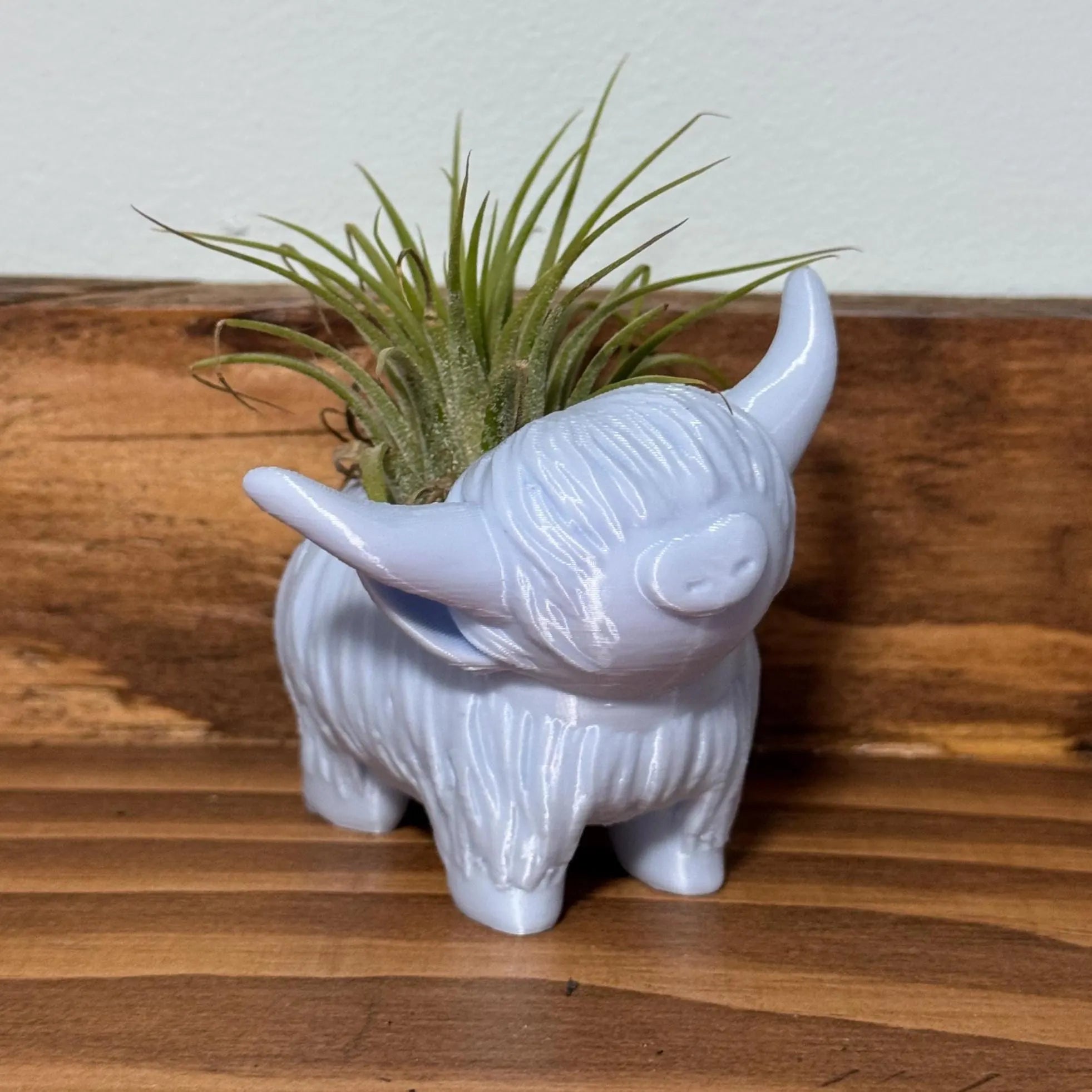 Highland Cow Air Plant Holder