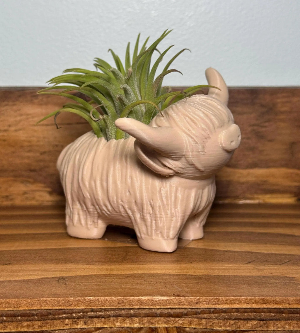 Highland Cow Air Plant Holder