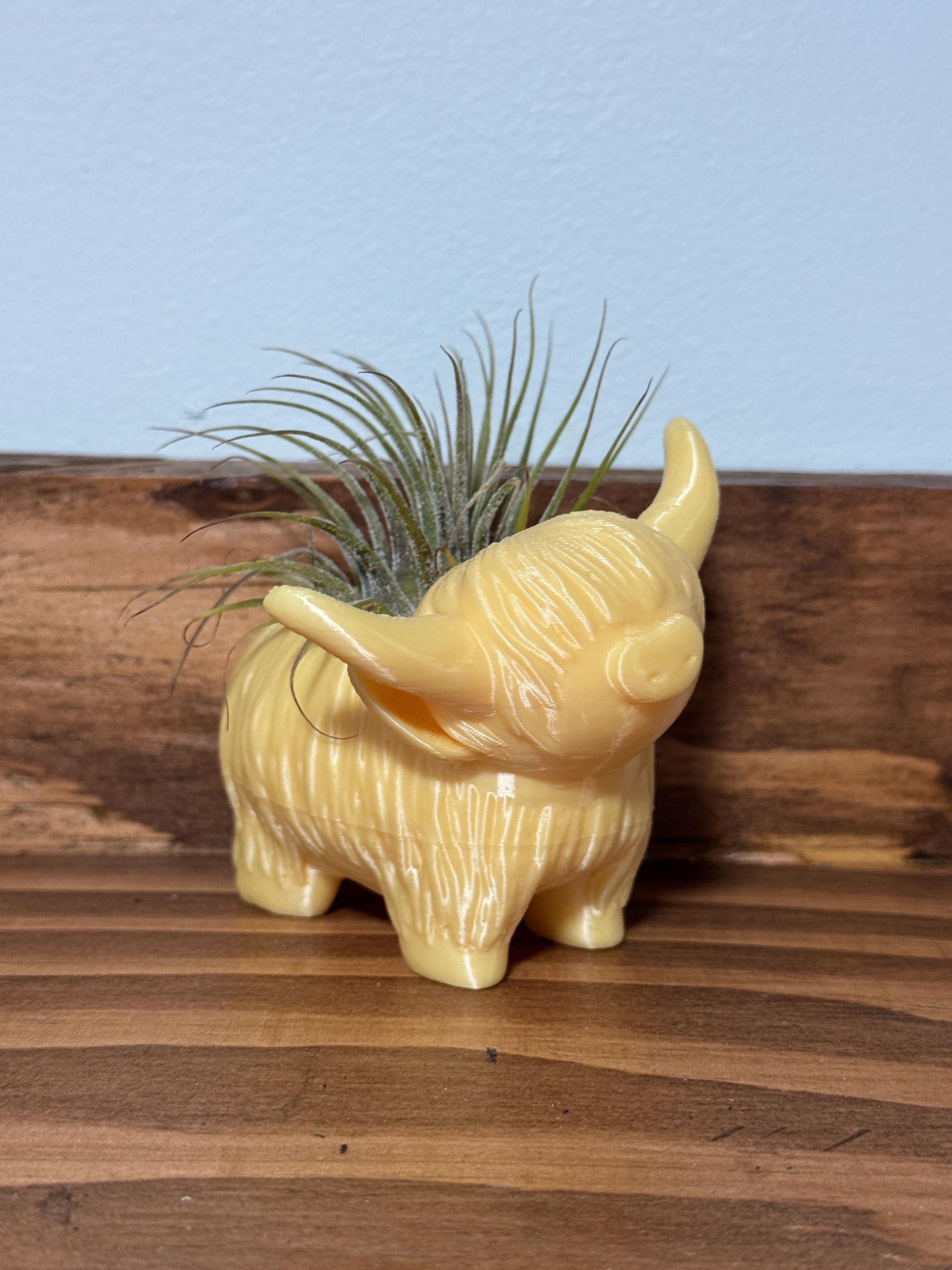 Highland Cow Air Plant Holder