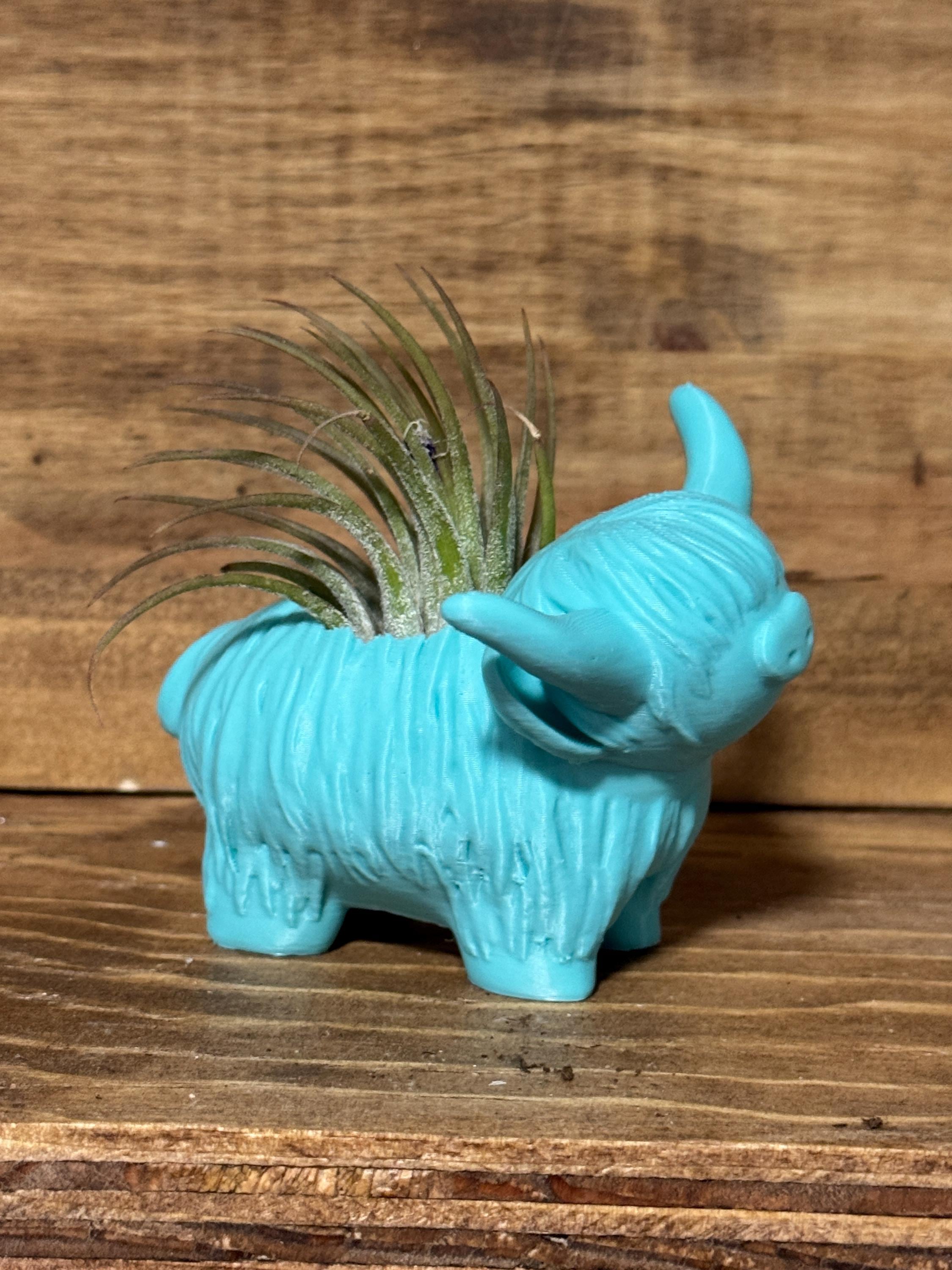 Highland Cow Air Plant Holder