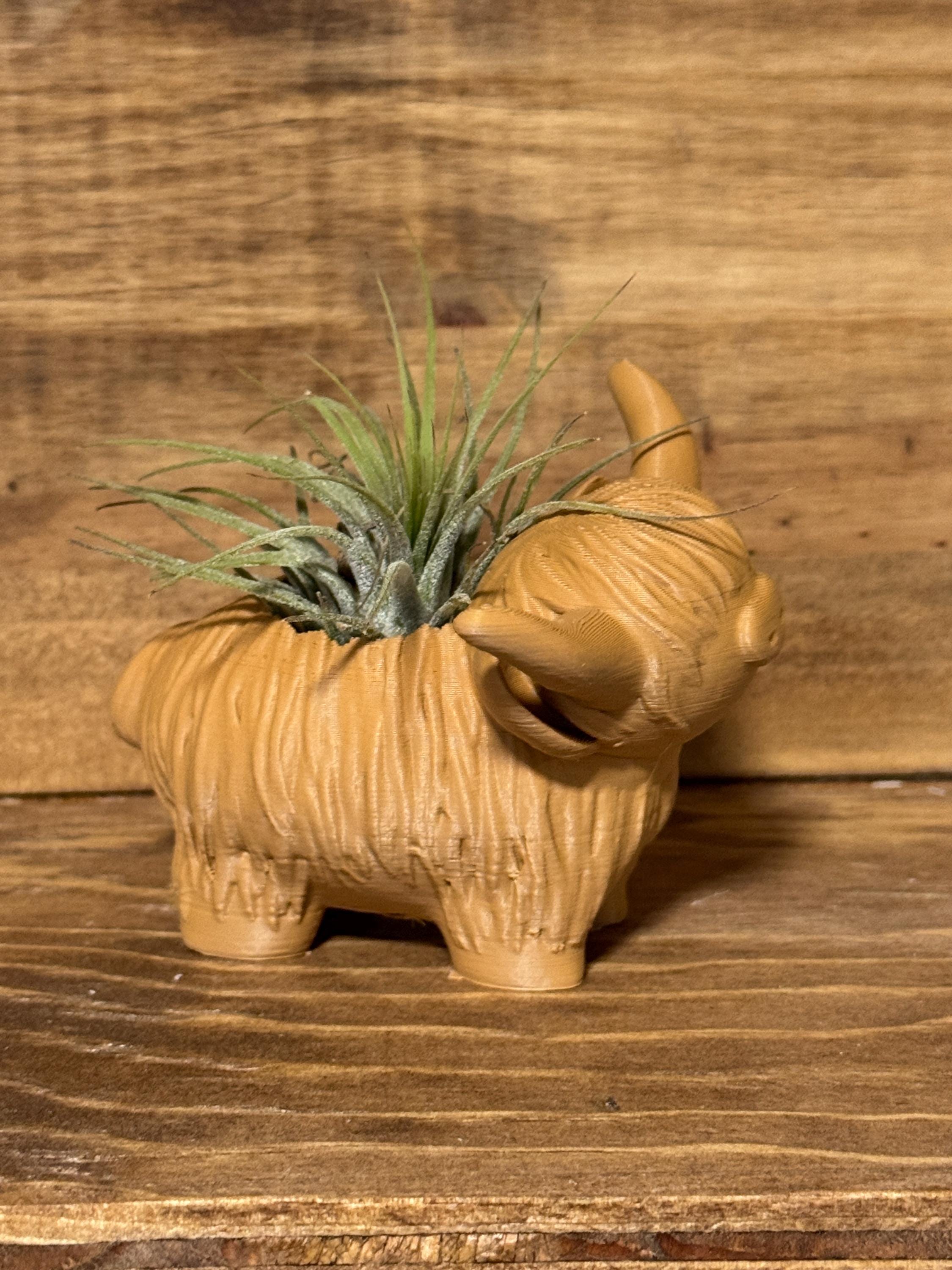 Highland Cow Air Plant Holder
