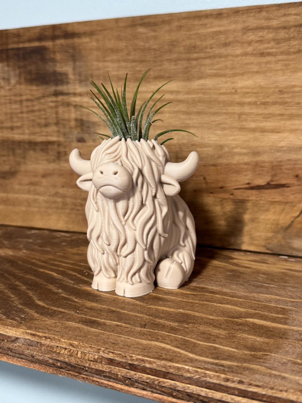 Highland Cow Air Plant Holder | Home Decor | Cute Plant | Cute Desk Decor | Work Decor | Christmas Gift | Air Plant | Co Worker Holiday Gift