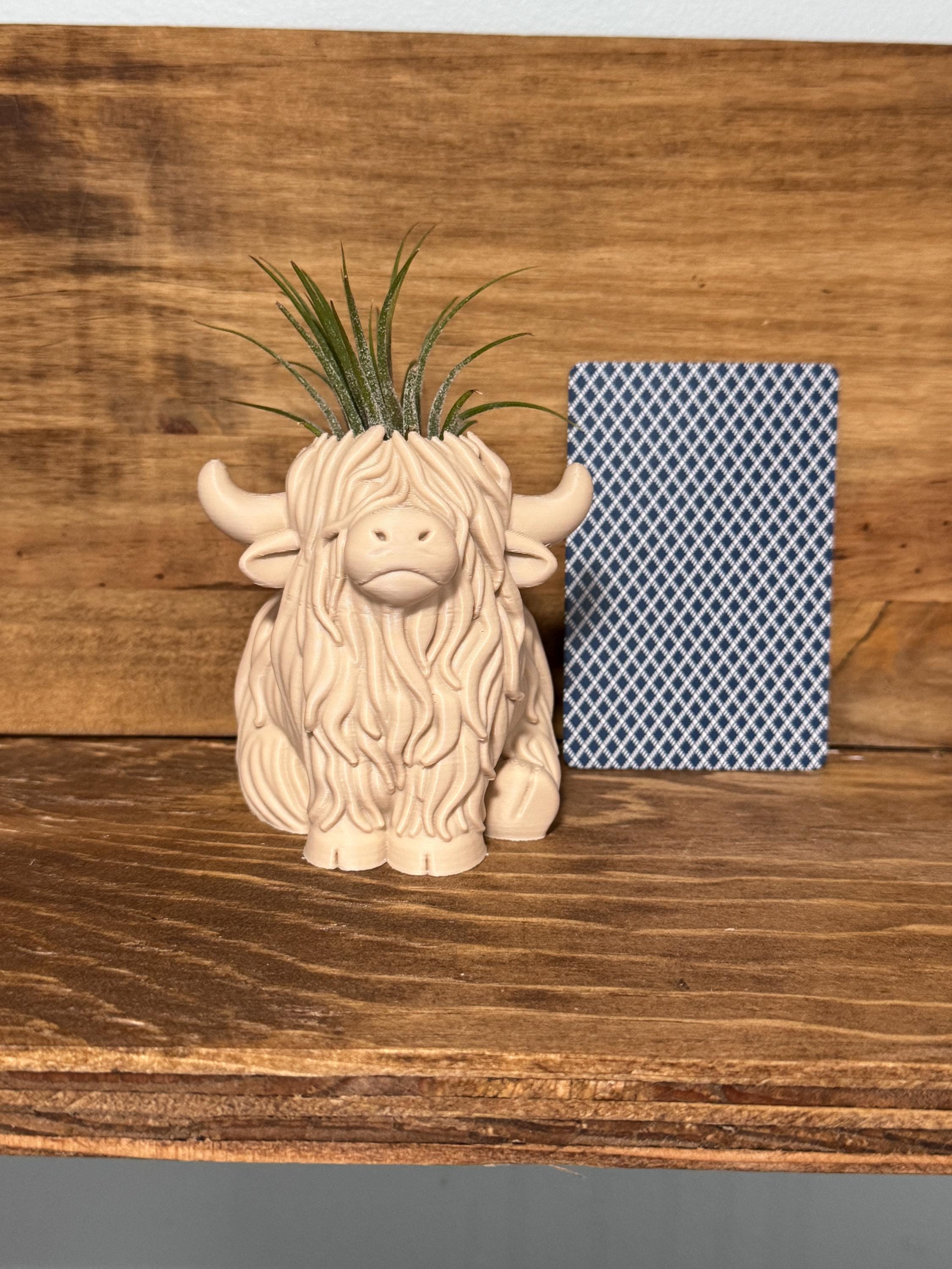 Highland Cow Air Plant Holder | Home Decor | Cute Plant | Cute Desk Decor | Work Decor | Christmas Gift | Air Plant | Co Worker Holiday Gift