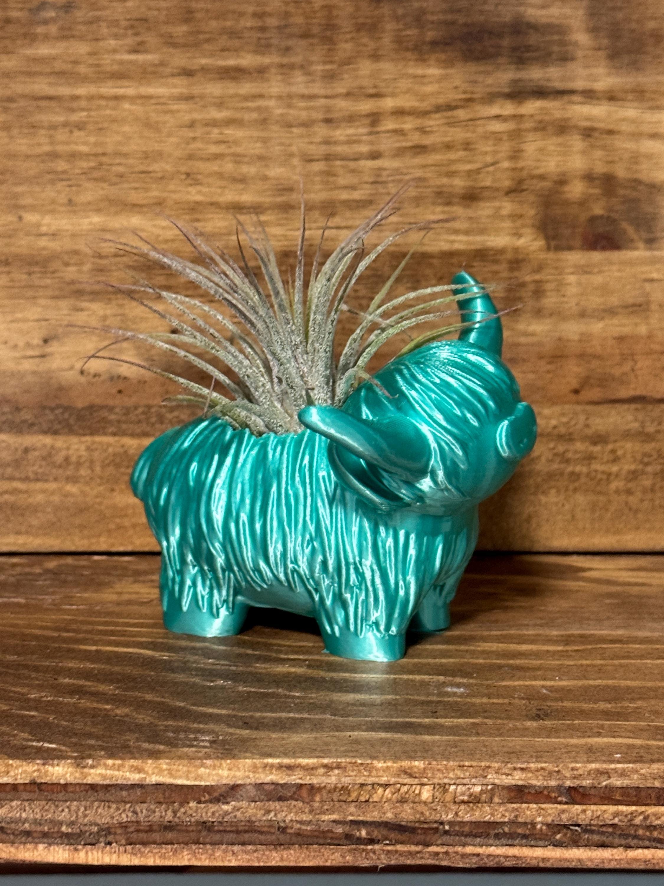Highland Cow Air Plant Holder