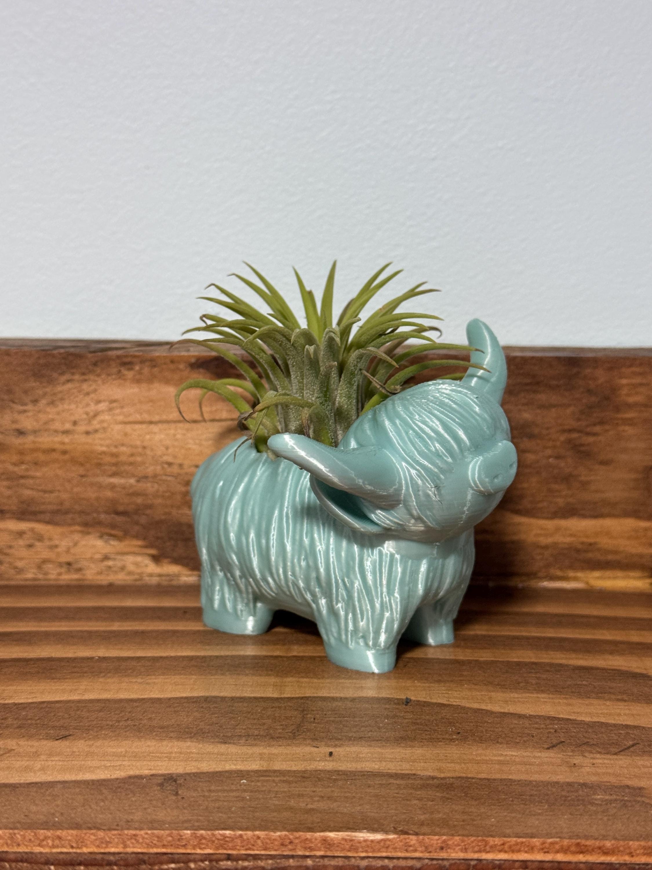 Highland Cow Air Plant Holder