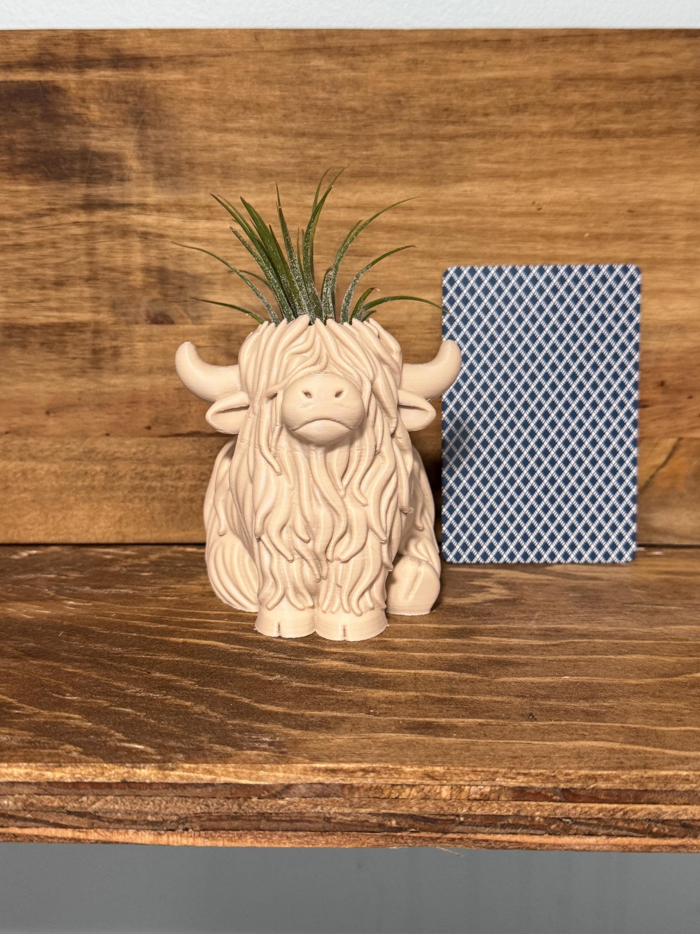 Highland Cow Air Plant Holder | Home Decor | Cute Plant | Cute Desk Decor | Work Decor | Christmas Gift | Air Plant | Co Worker Holiday Gift
