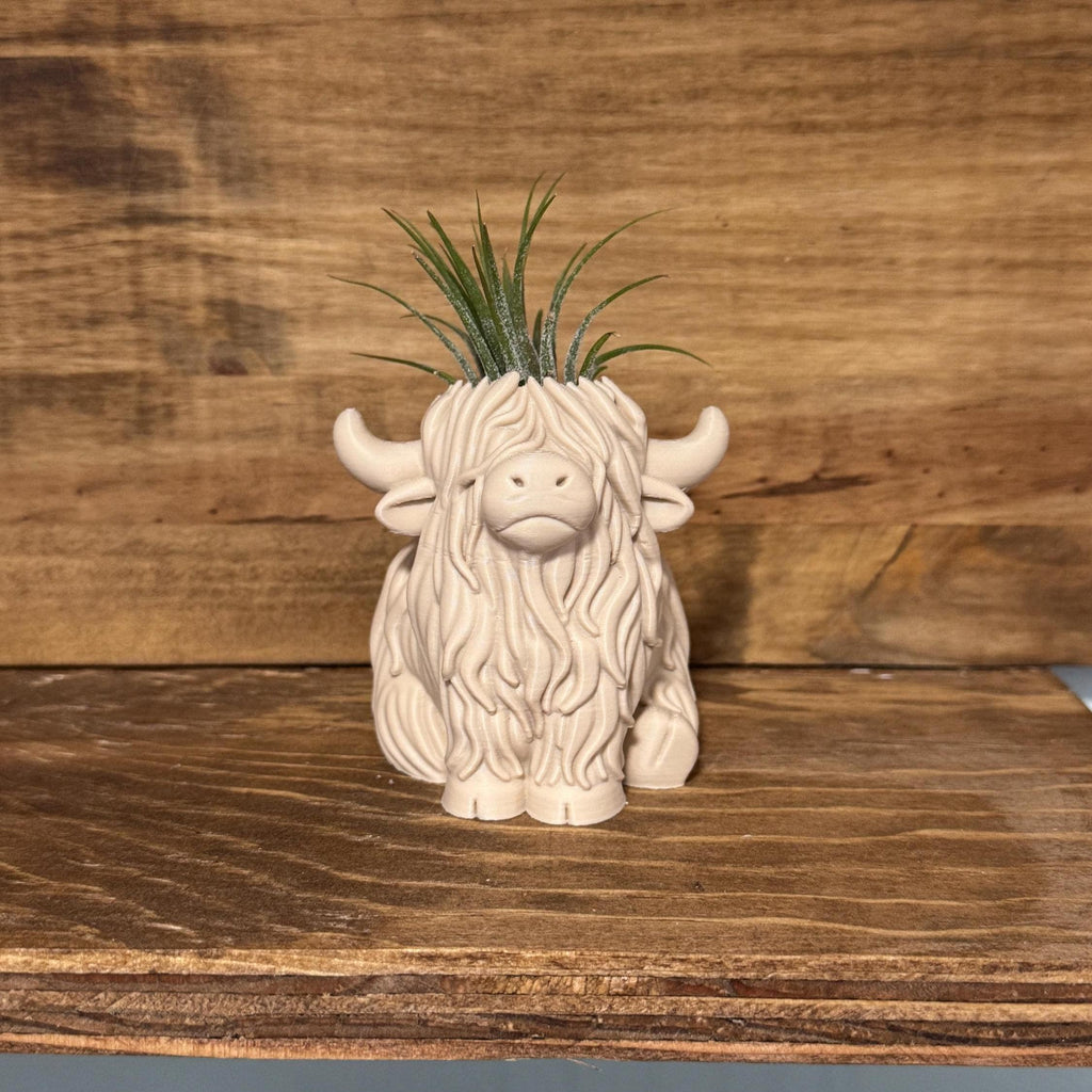 Highland Cow Air Plant Holder | Home Decor | Cute Plant | Cute Desk Decor | Work Decor | Christmas Gift | Air Plant | Co Worker Holiday Gift