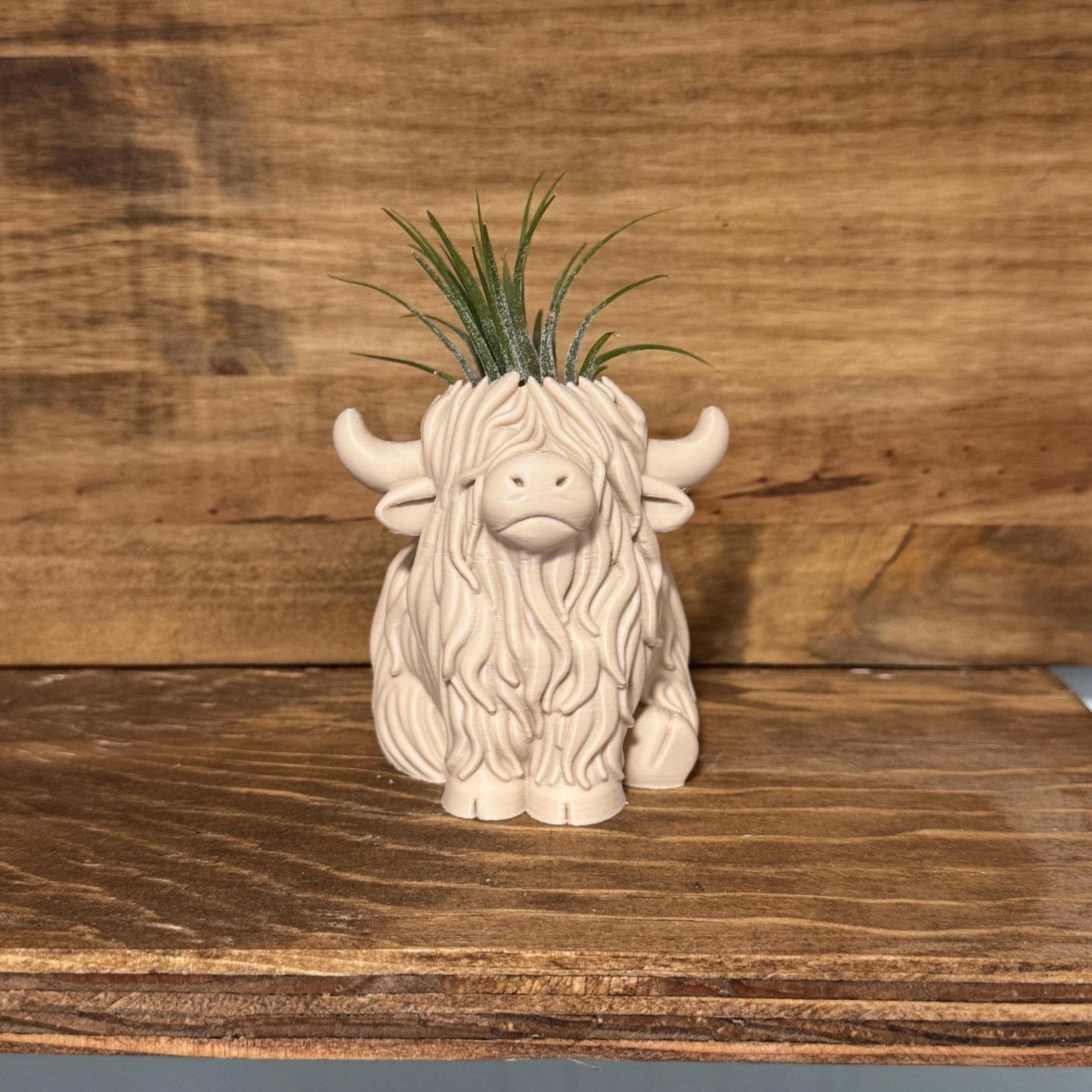 Highland Cow Air Plant Holder | Home Decor | Cute Plant | Cute Desk Decor | Work Decor | Christmas Gift | Air Plant | Co Worker Holiday Gift